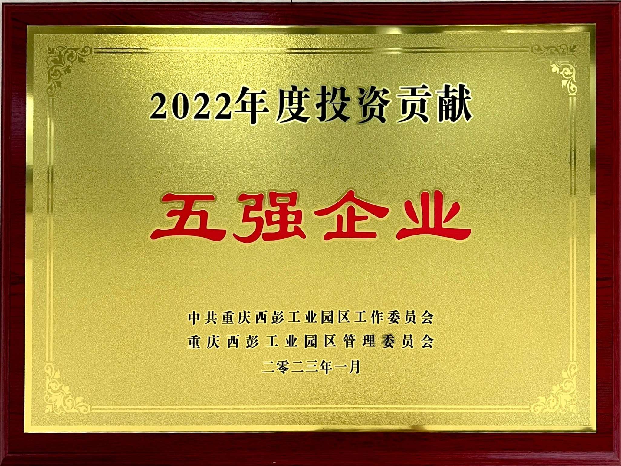 2022年度投资贡献“五强企业”